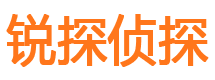 共和寻人公司